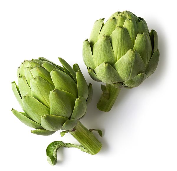 Artichoke